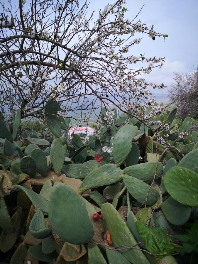 Villa Casa Opuntia à Pappaygiannades Extérieur photo